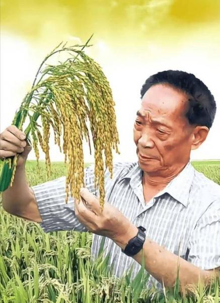 隆平高科可以长期持有吗-隆平高科值得长期持股吗-第4张图片 隆平高科可以长期持有吗-隆平高科值得长期持股吗-第4张图片