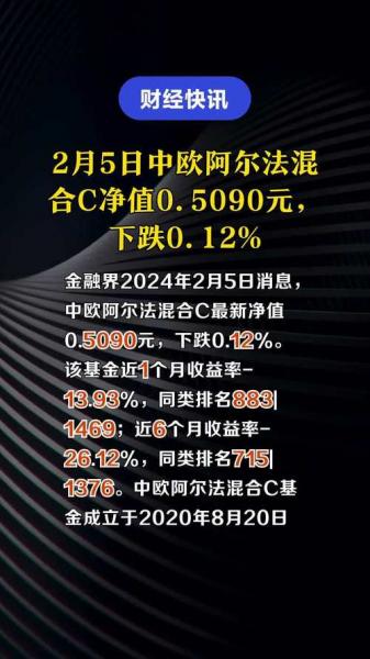 中欧阿尔法混合c这个基金怎么样,中欧阿尔法混合c基金净值每天查询-第5张图片 中欧阿尔法混合c这个基金怎么样,中欧阿尔法混合c基金净值每天查询-第5张图片