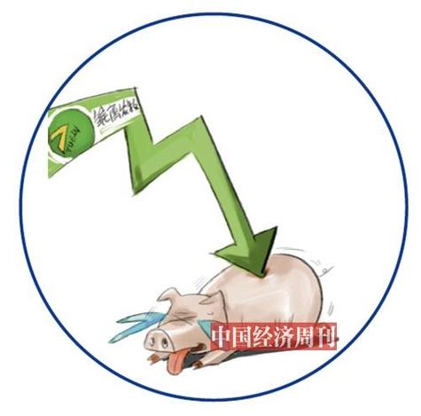 雏鹰农牧股票后期走势分析-第5张图片 雏鹰农牧股票后期走势分析-第5张图片
