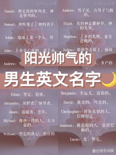 rhoda是什么意思-rhe是什么意思中文-第3张图片 rhoda是什么意思-rhe是什么意思中文-第3张图片