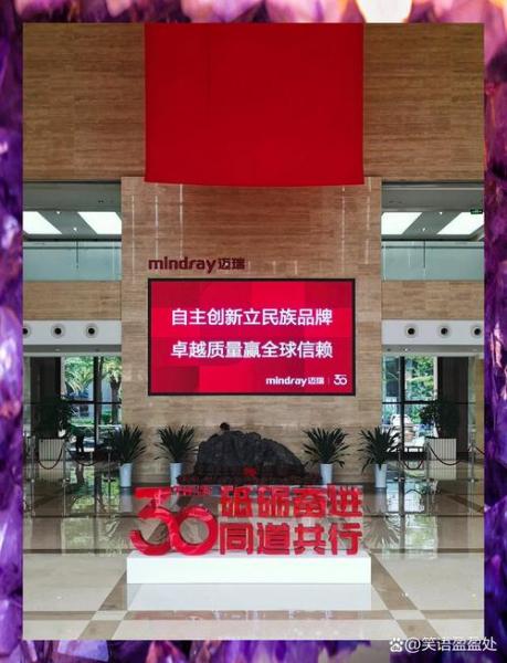 迈瑞医疗是国企还是私企-第4张图片 迈瑞医疗是国企还是私企-第4张图片