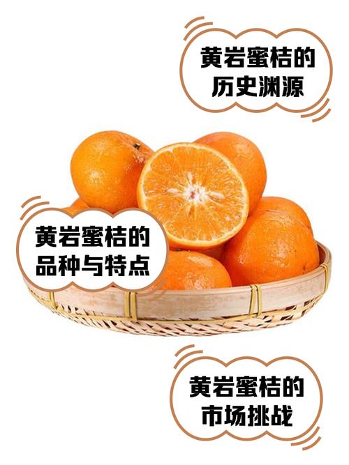 台州市黄岩区特色农产品有哪些-第5张图片 台州市黄岩区特色农产品有哪些-第5张图片