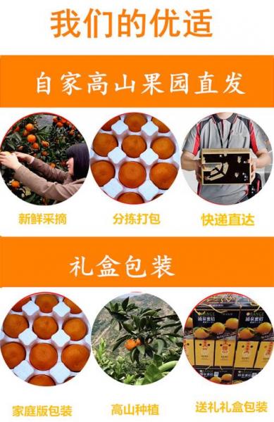 台州市黄岩区特色农产品有哪些-第6张图片 台州市黄岩区特色农产品有哪些-第6张图片