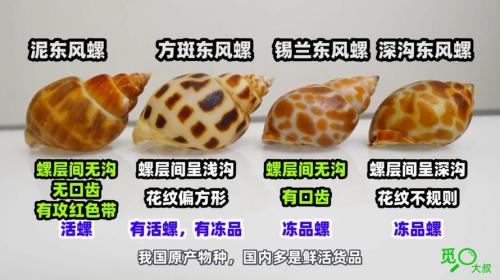 海螺型材怎么看真假-第2张图片 海螺型材怎么看真假-第2张图片