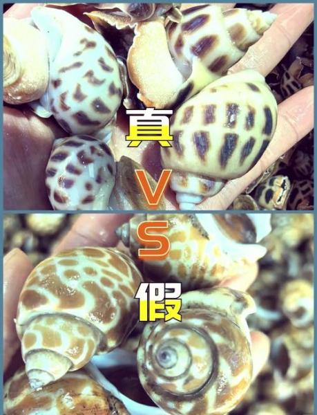 海螺型材怎么看真假-第6张图片 海螺型材怎么看真假-第6张图片