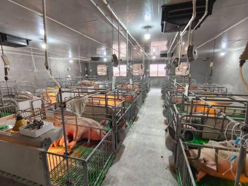 得利斯被哪里控股-得利斯公司现状-第3张图片 得利斯被哪里控股-得利斯公司现状-第3张图片