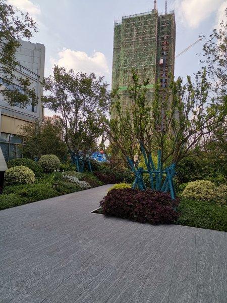 南昌光谷实力强吗,南昌光谷集团最新消息-第6张图片 南昌光谷实力强吗,南昌光谷集团最新消息-第6张图片