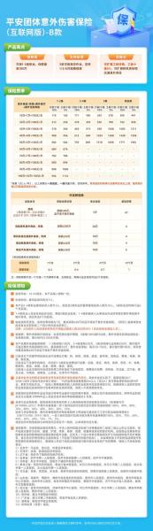 平安一天意外险怎么购买/平安保险一日险购买-第5张图片 平安一天意外险怎么购买/平安保险一日险购买-第5张图片