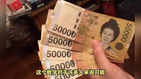 一亿韩元相当于中国人民币多少钱-第5张图片 一亿韩元相当于中国人民币多少钱-第5张图片