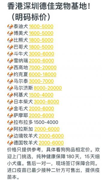 佩蒂股份2022年股价走势-佩蒂股份上市以来的股价-第3张图片 佩蒂股份2022年股价走势-佩蒂股份上市以来的股价-第3张图片