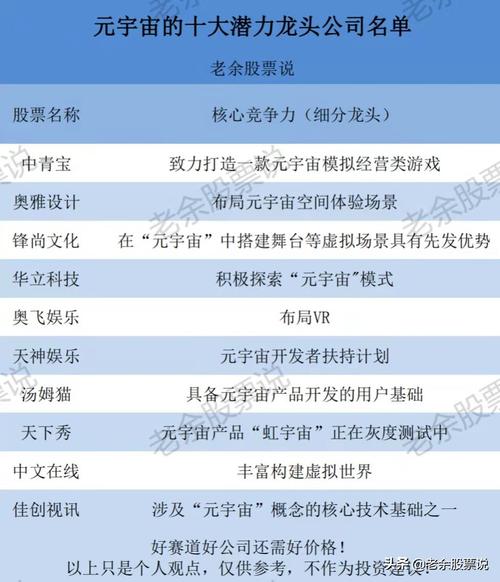 元宇宙概念股是什么股票，元宇宙概念股数码视讯-第2张图片