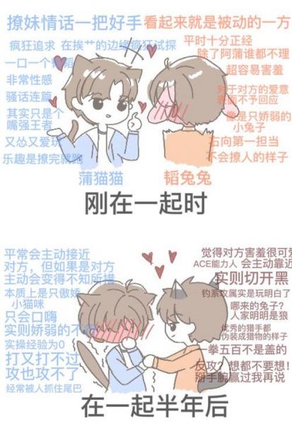 南北对话是指什么,南北对话是指什么?-第3张图片 南北对话是指什么,南北对话是指什么?-第3张图片