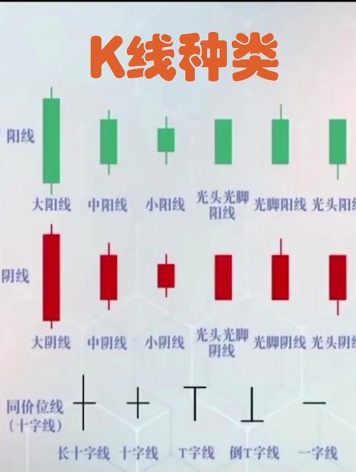 一只股票里面很多基金谁做主力-第3张图片 一只股票里面很多基金谁做主力-第3张图片