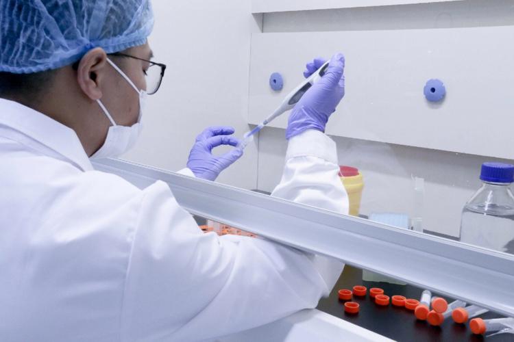 生物科技一般是做什么的/生物科技干啥的-第3张图片 生物科技一般是做什么的/生物科技干啥的-第3张图片