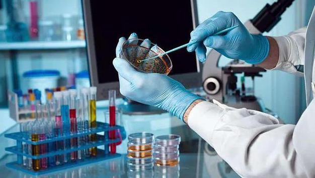 生物科技一般是做什么的/生物科技干啥的-第4张图片 生物科技一般是做什么的/生物科技干啥的-第4张图片
