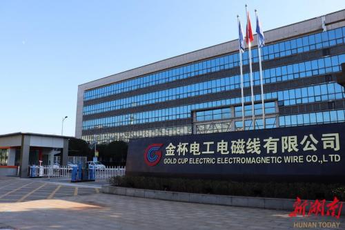衡阳金杯电缆厂是国企吗,衡阳金杯电缆怎么样-第6张图片 衡阳金杯电缆厂是国企吗,衡阳金杯电缆怎么样-第6张图片