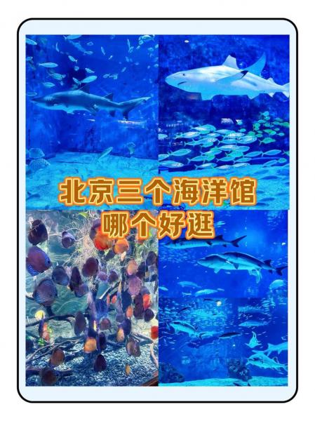 富国海底世界好玩儿吗-富国海底世界怎么样-第3张图片 富国海底世界好玩儿吗-富国海底世界怎么样-第3张图片