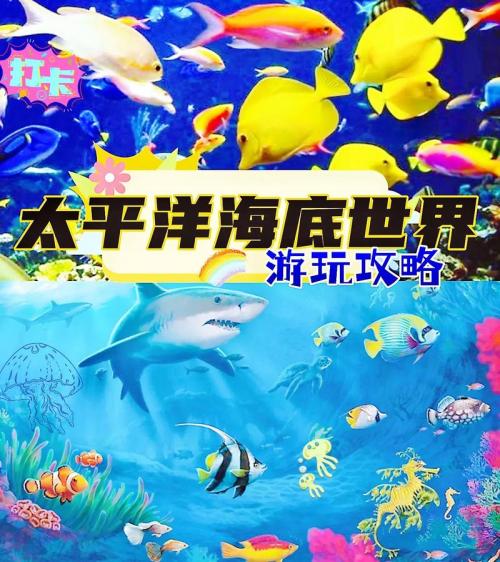 富国海底世界好玩儿吗-富国海底世界怎么样-第8张图片 富国海底世界好玩儿吗-富国海底世界怎么样-第8张图片