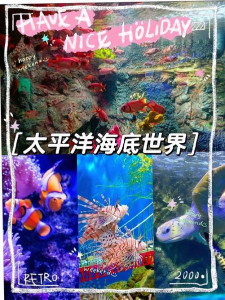 富国海底世界好玩儿吗-富国海底世界怎么样-第10张图片 富国海底世界好玩儿吗-富国海底世界怎么样-第10张图片