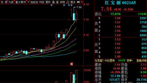 红宝丽股票代码多少,红宝丽股票东方财富网-第7张图片 红宝丽股票代码多少,红宝丽股票东方财富网-第7张图片