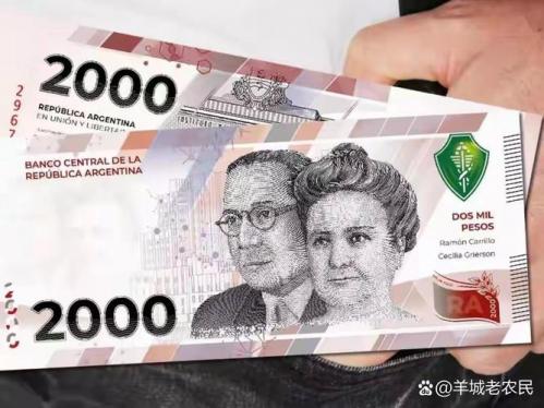 167阿根廷比索等于多少人民币,1700阿根廷比索-第9张图片 167阿根廷比索等于多少人民币,1700阿根廷比索-第9张图片