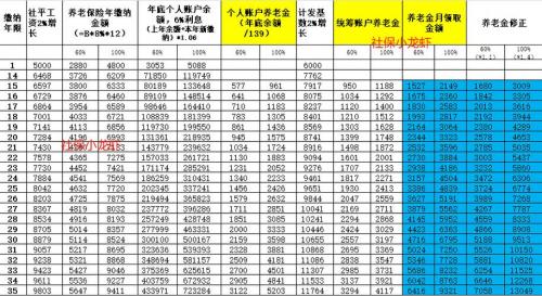 养老交60%跟100%的区别-第5张图片 养老交60%跟100%的区别-第5张图片