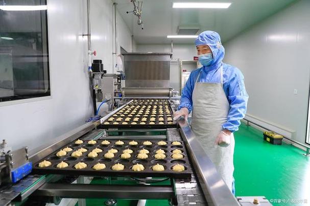 洽洽食品厂怎么样-第8张图片 洽洽食品厂怎么样-第8张图片