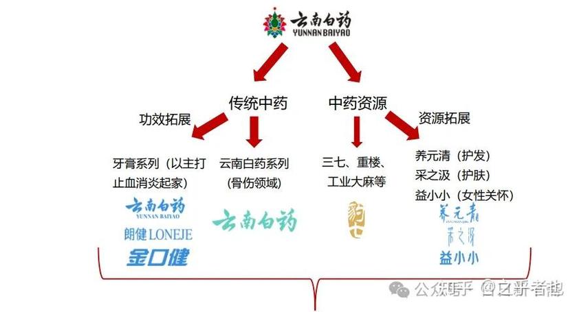 云南白药主要生产什么药/云南白药是什么厂家-第6张图片 云南白药主要生产什么药/云南白药是什么厂家-第6张图片