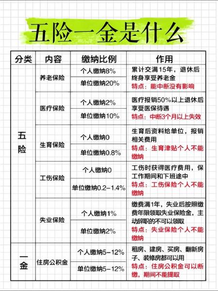 一千多的社保是几档-第8张图片 一千多的社保是几档-第8张图片