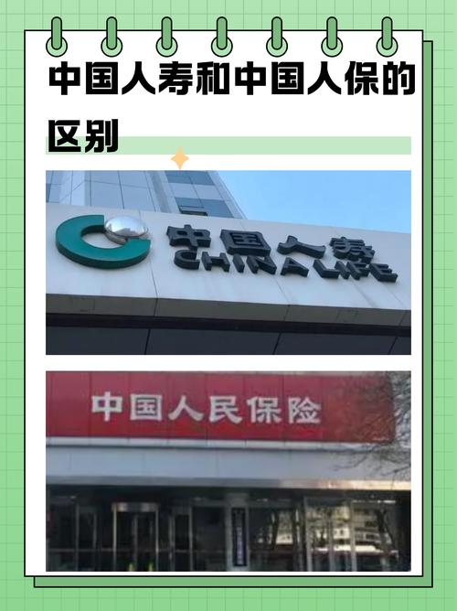 中国人寿财险和寿险的区别-中国人寿财险和寿险的区别是什么