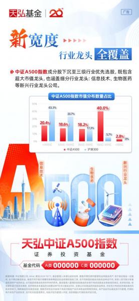 天弘中证500指数增强a怎么样-第2张图片 天弘中证500指数增强a怎么样-第2张图片