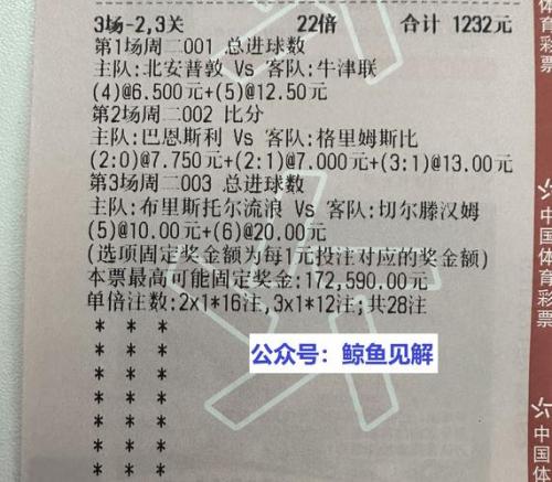 2022世预赛阿根廷对厄瓜多尔,2021阿根廷对厄瓜多尔-第6张图片 2022世预赛阿根廷对厄瓜多尔,2021阿根廷对厄瓜多尔-第6张图片