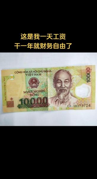 2万越南币多少人民币-2万越南币折合人民币多少钱-第3张图片 2万越南币多少人民币-2万越南币折合人民币多少钱-第3张图片