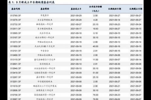 规模大的纯债基金有哪些/纯债基金规模小于一亿好不好-第7张图片