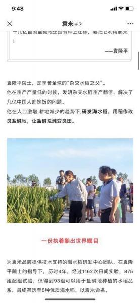 隆平高科公司怎么样-第1张图片 隆平高科公司怎么样-第1张图片
