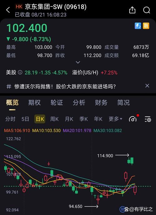 如何购买京东股票-第2张图片 如何购买京东股票-第2张图片