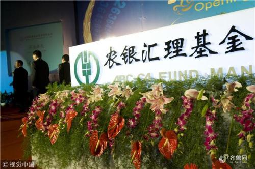 农银汇理基金有风险吗安全吗-第2张图片 农银汇理基金有风险吗安全吗-第2张图片