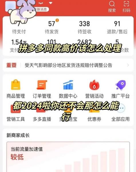 拼多多的股票怎么买-第5张图片 拼多多的股票怎么买-第5张图片